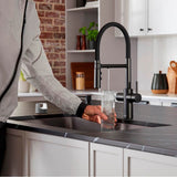 Catris Flexo Filter-Ready Semi-Pro Pull-Down Dual-Spray Kitchen Faucet - Chrome