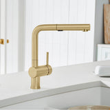 Linus Low Arc Pull-Out Dual-Spray Kitchen Faucet - Chrome