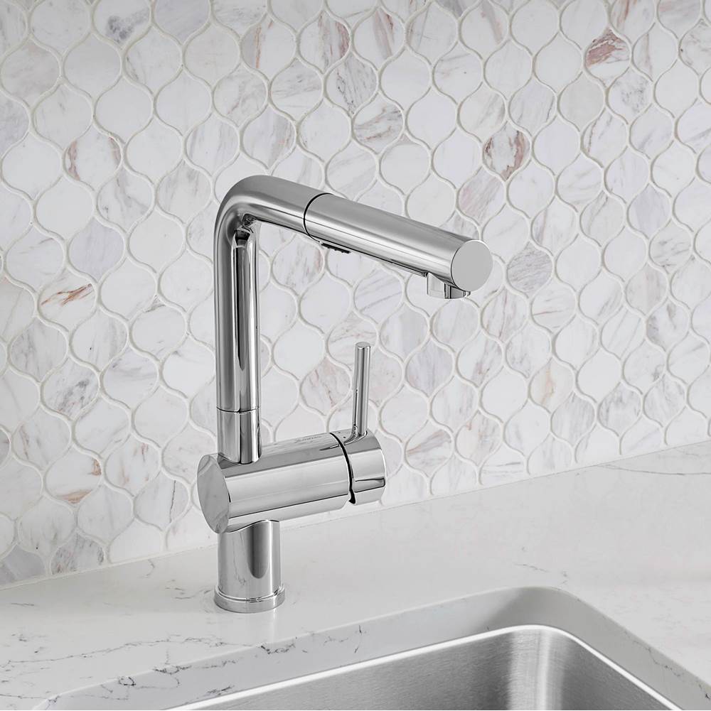 Linus Low Arc Pull-Out Dual-Spray Kitchen Faucet - Chrome
