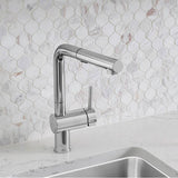 Linus Low Arc Pull-Out Dual-Spray Kitchen Faucet - Chrome