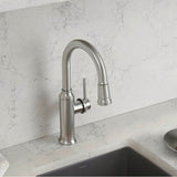Empressa Pull-Down Bar Faucet - Chrome