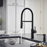 Catris Flexo Semi-Pro Pull-Down Dual-Spray Kitchen Faucet - Matte Black
