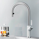 Urbena Pull-Down Dual-Spray Kitchen Faucet - Chrome