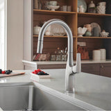 Rivana High-Arc Pull-Down Dual-Spray Kitchen Faucet - Chrome