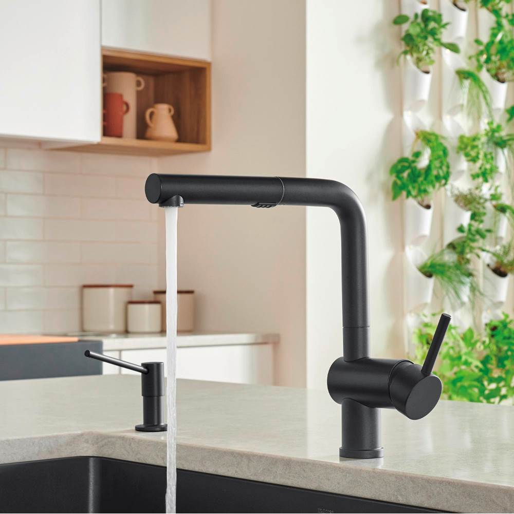 Linus Low Arc Pull-Out Dual-Spray Kitchen Faucet - Chrome
