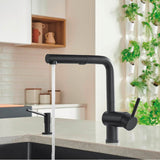 Linus Low Arc Pull-Out Dual-Spray Kitchen Faucet - Chrome