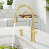 Empressa High Arc Pull-Down Dual-Spray Kitchen Faucet - PVD Steel