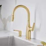 Rivana High-Arc Pull-Down Dual-Spray Kitchen Faucet - Chrome