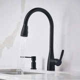 Atura Pull-Down Dual-Spray Kitchen Faucet - Chrome