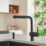 Linus Low Arc Pull-Out Dual-Spray Kitchen Faucet - Chrome