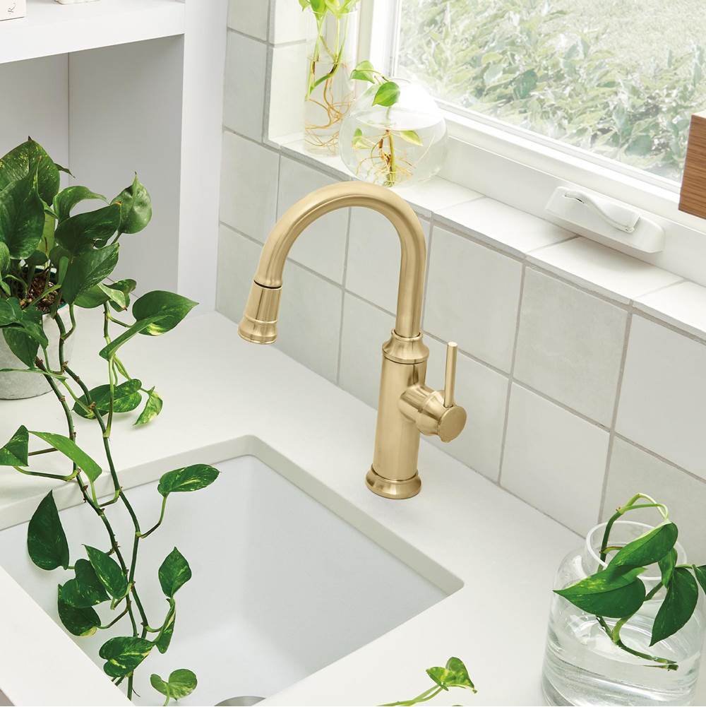 Empressa Pull-Down Bar Faucet - Chrome