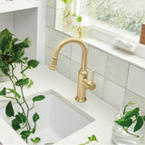 Empressa Pull-Down Bar Faucet - Chrome