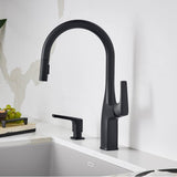 Rivana High-Arc Pull-Down Dual-Spray Kitchen Faucet - Chrome