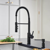 Catris Semi-Pro Pull-Down Dual-Spray Kitchen Faucet - Matte Black