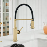 Empressa Semi-Pro Pull-Down Dual-Spray Kitchen Faucet - Chrome