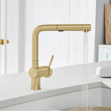 Linus Low Arc Pull-Out Dual-Spray Kitchen Faucet - Chrome