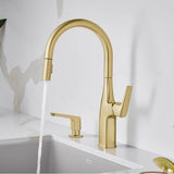 Rivana High-Arc Pull-Down Dual-Spray Kitchen Faucet - Chrome