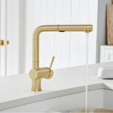 Linus Low Arc Pull-Out Dual-Spray Kitchen Faucet - Chrome