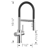 Catris Flexo Filter-Ready Semi-Pro Pull-Down Dual-Spray Kitchen Faucet - Chrome