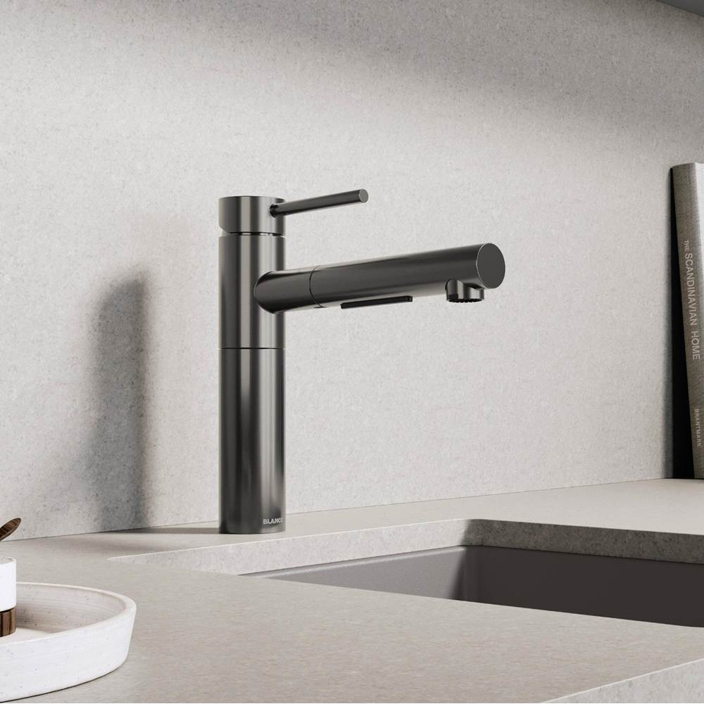 Alta II Pull Out 1.5 GPM - Satin Platinum