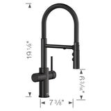 Catris Flexo Filter-Ready Semi-Pro Pull-Down Dual-Spray Kitchen Faucet - Chrome