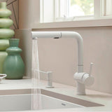 Linus Low Arc Pull-Out Dual-Spray Kitchen Faucet - Chrome