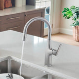 Rivana High-Arc Pull-Down Dual-Spray Kitchen Faucet - Chrome