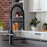 Catris Flexo Filter-Ready Semi-Pro Pull-Down Dual-Spray Kitchen Faucet - Chrome