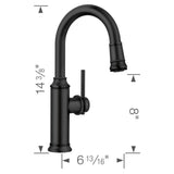 Empressa Pull-Down Bar Faucet - Chrome
