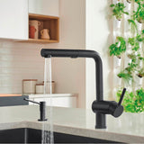 Linus Low Arc Pull-Out Dual-Spray Kitchen Faucet - Chrome