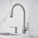 Atura Pull-Down Dual-Spray Kitchen Faucet - Chrome