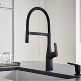 Rivana Semi-Pro Pull-Down Dual-Spray Kitchen Faucet - Chrome