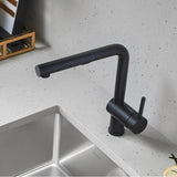 Linus Low Arc Pull-Out Dual-Spray Kitchen Faucet - Chrome