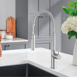 Catris Semi-Pro Pull-Down Dual-Spray Kitchen Faucet - Chrome