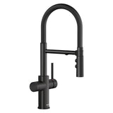 Blanco - Catris Flexo Filter-Ready Semi-Pro Pull-Down Dual-Spray Kitchen Faucet - Matte Black - Matte Black