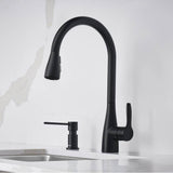 Atura Pull-Down Dual-Spray Kitchen Faucet - Chrome