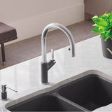 Urbena Pull-Down Dual-Spray Kitchen Faucet - Chrome