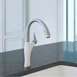 Artona Pull-Down Dual-Spray Kitchen Faucet - PVD Steel/Anthracite