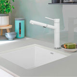 Precis SILGRANIT 21'' Single Bowl Undermount Kitchen Sink - Coal Black