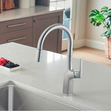 Rivana High-Arc Pull-Down Dual-Spray Kitchen Faucet - Chrome