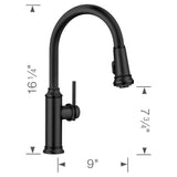 Empressa High Arc Pull-Down Dual-Spray Kitchen Faucet - PVD Steel