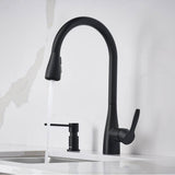 Atura Pull-Down Dual-Spray Kitchen Faucet - Chrome