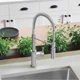 Catris Semi-Pro Pull-Down Dual-Spray Kitchen Faucet - Chrome
