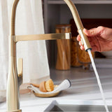Rivana Semi-Pro Pull-Down Dual-Spray Kitchen Faucet - Chrome