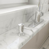 Lesina 2.0 Kitchen Soap Dispenser in Brushed Gold