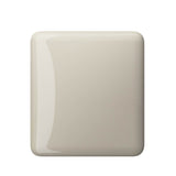 Porcelain Touch-Up Glaze, White