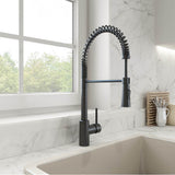 Livenza 2.0 Pull-Down Kitchen Faucet in Chrome