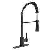 Livenza 2.0 Pull-Down Kitchen Faucet in Chrome