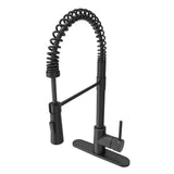 Livenza 2.0 Pull-Down Kitchen Faucet in Chrome