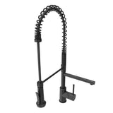 Maggiore 2.0 Dual-Spout Professional Kitchen Faucet in Chrome